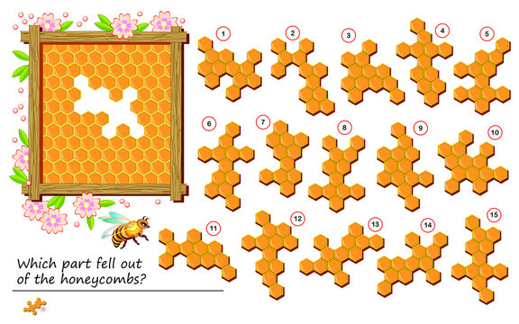 Logical Puzzle Game For Children And Adults. Which Part Fell Out Of The Honeycombs? Printable Page For Kids Brain Teaser Book. Developing Spatial Thinking Skills. IQ Training Test. Vector Image.