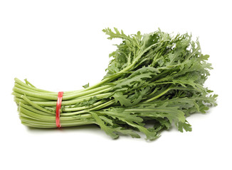 Shungiku, also known as tong hao, or edible chrysanthemum, Isolated on white. A leaf herb commonly used in asian food