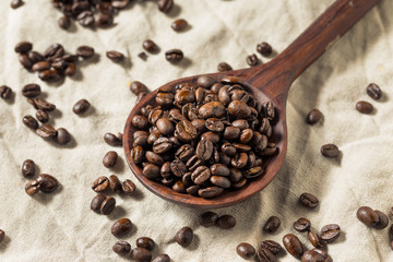 Dry Organic Coffee Beans