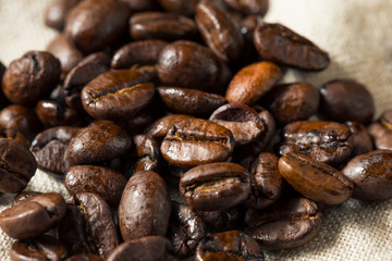 Dry Organic Coffee Beans