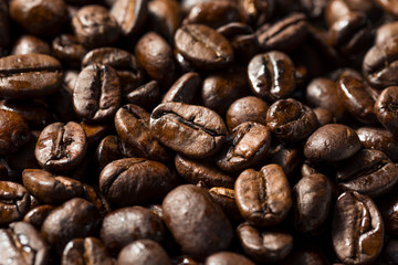Dry Organic Coffee Beans