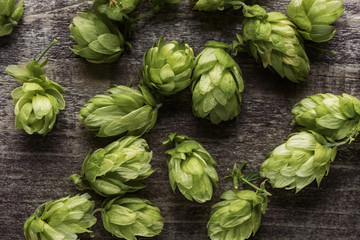 Obraz premium top view of fresh green hop on wooden surface