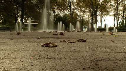 Fountain in the Park