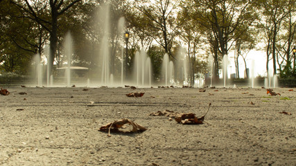 Fountain in the Park