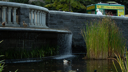 Waterfall in the Park