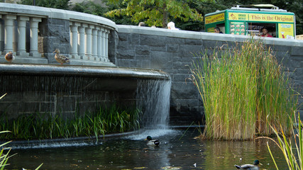 Waterfall in the Park