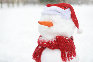 Close-up photo of a handmade snowman with a scarf, Santa Claus hat and carrot nose in a snowy park.
