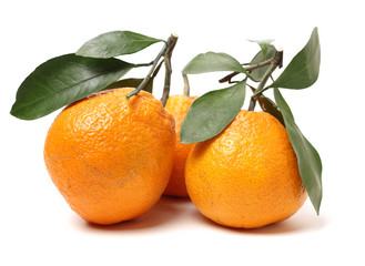 ugly tangerine on a white background 