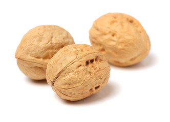 walnuts on white background 