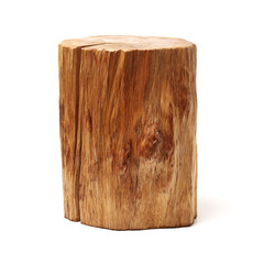 log isolated on a white background 