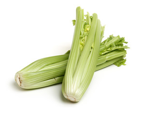 celery on a white background 