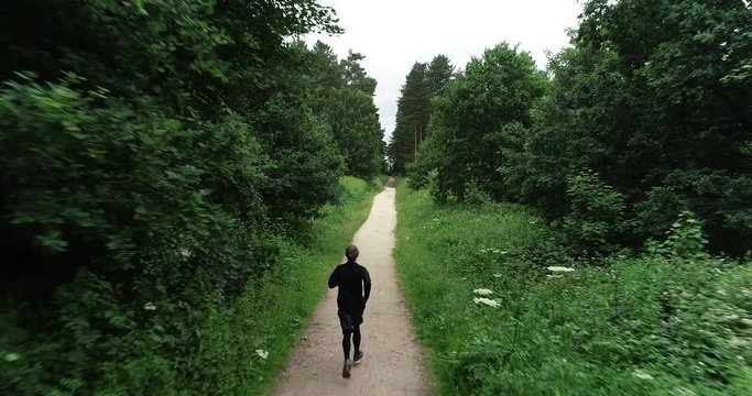 4K Aerial. Man runing on Park Path through a Forest Glade. Tree Lined Green British Wood in the Countryside on a Summer Evening in Great Britain.
