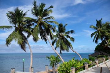 Fototapeta na wymiar Blue sky with palm trees