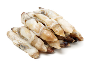 Razor clams isolated on white background.