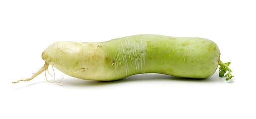 Whole single green radish on white background 