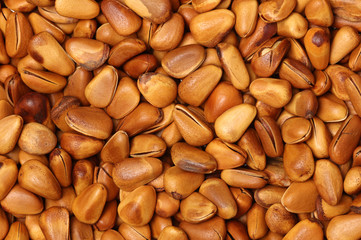Pine nuts background