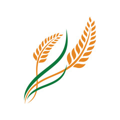 Love Wheat grain, Wheat Nutrition, Wheat rice agriculture logo Inspiration vector, Wheat Symbol