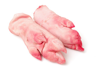 Fresh pig trotter on white background