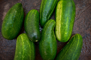 pepinos 