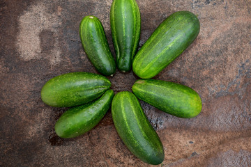 green and fresh cucumbers in form of plant