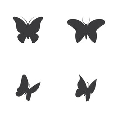 Vector - Butterfly conceptual simple, colorful icon. Logo. Vector