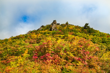 栗駒山須川登山道賽ノ河原の紅葉