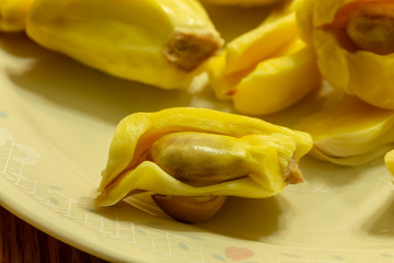 Jackfruit (Artocarpus heterophyllus), a fruit processing where seeds and flesh can be seen. It is the national fruit of Bangladesh and Sri Lanka and the largest fruit of the tree.