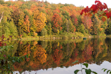 Autumn colorful trees reflecting in water surface of lake. Indian Summer in Canada