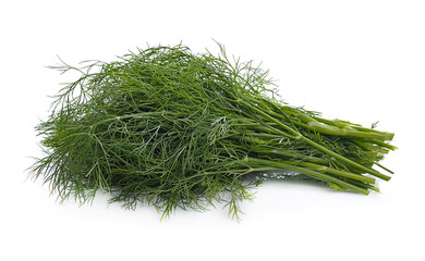 Dill leaf macro isolated on white background.