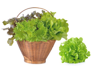 Fototapeta na wymiar Fresh lettuce leaves isolated on white background.