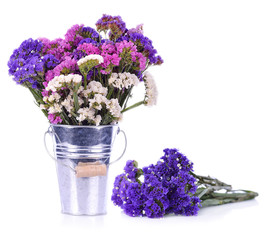 Dry statice flower on white background