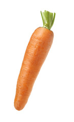 Fresh carrot on a white background