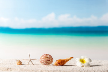 beach background, summer background concept