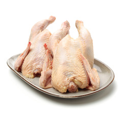 Raw fresh chicken isolated on white background 