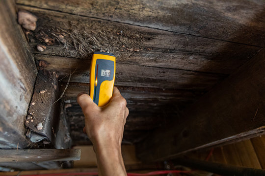 Indoor damp & air quality (IAQ) testing. A close-up view of a home inspector at work in a residential basement, assessing signs of structural defects such as wood rot and dampness, with copy space.