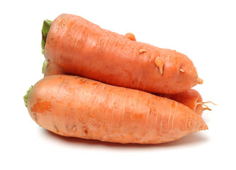 Fresh carrot on a white background