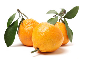 ugly tangerine on a white background 