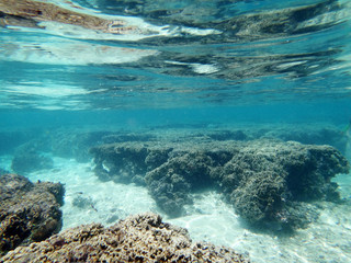 Diving on Guam coral reef, coral reef sea bed, water surface underwater