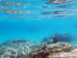 Diving on Guam coral reef, seabed and water surface view from underwater