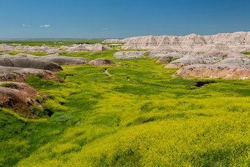Fototapeta na wymiar Yellow Mounds Landscape, Badlands National Park, South Dakota
