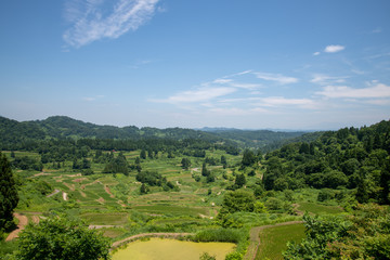 星峠の棚田