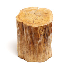 log isolated on a white background