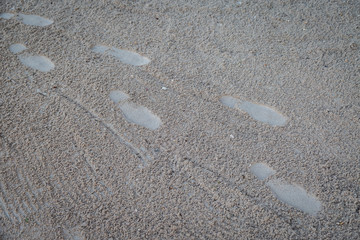 Footprint on sand beach