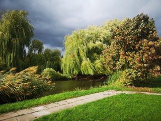 Green spring trees by the pond. Stormy day overcast sky. Fresh leaves on the trees.