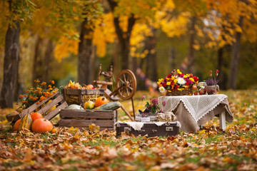 Autumn decor in the garden. Pumpkins lying in wooden box on autumn background.  Old fashioned wooden distaff. Autumn time. Thanksgiving Day.