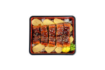 Unagi don or Japanese ell grilled with kabayaki sauce and tamago in bento