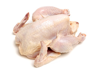 raw hen on a white background