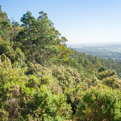 Naklejka premium The Sideling Lookout