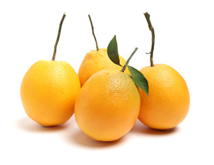 Orange fruit on the white background