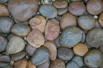 Wet rock river texture
